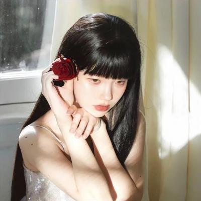 美丽的约定 海报